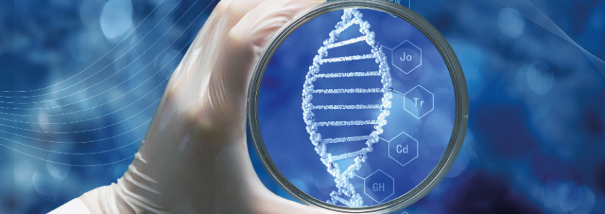 Postgrado Maestría En Investigación Biomédica